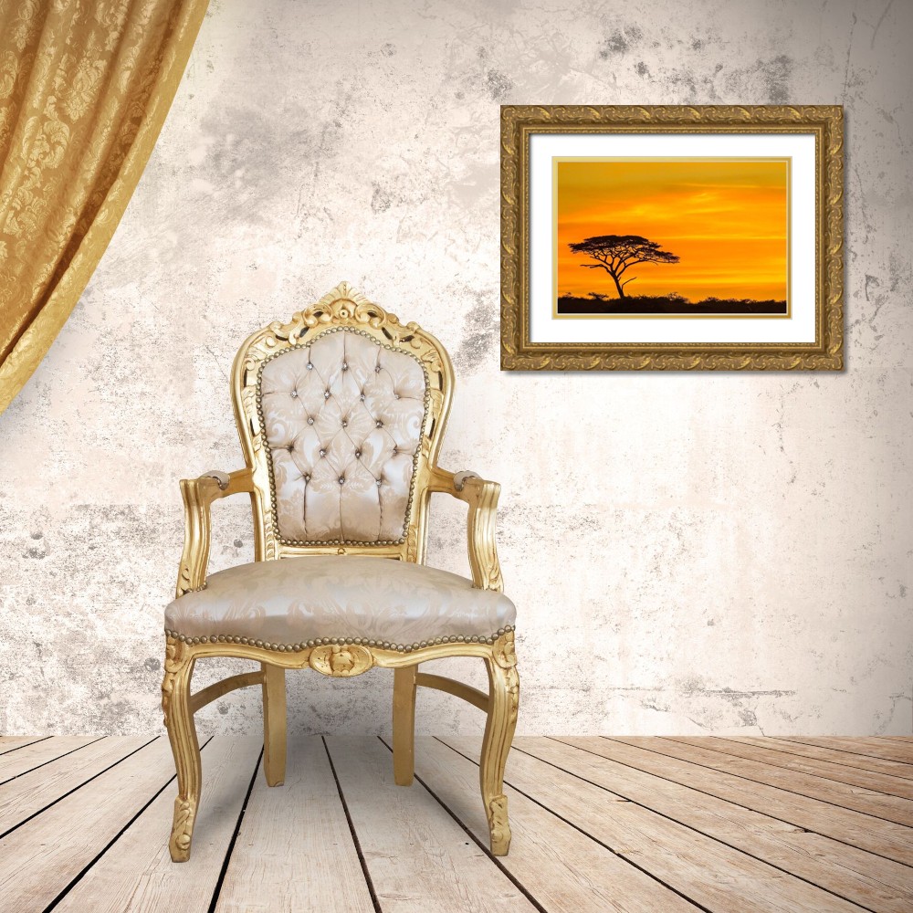 Jaynes Gallery 24x17 Gold Ornate Wood Framed with Double Matting Museum Art Print Titled - Africa-Tanzania-Serengeti National Park Acacia tree silhouette at sunset - image 3 of 4