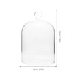 thumbnail image 2 of MLINS Clear Dome Immortal Flower Aromatherapy Cover 15.00X10.00X10.00CM Transparent, 2 of 8