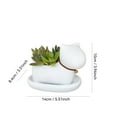 thumbnail image 3 of Cute Succulent Plant Pots, Animal-shaped Flower Pots Desktop Decorative Ornaments Suitable For Home, Office, Desks (Cat ), 3 of 5