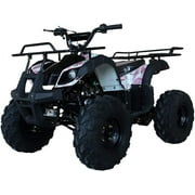 Vitacci Rider 10 125cc Utility ATV with Front and Rear Racks