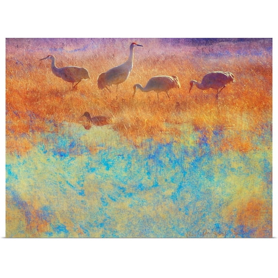 Great BIG Canvas | Rolled Chris Vest Poster Print entitled Cranes in Soft Mist