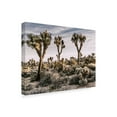 thumbnail image 2 of Trademark Fine Art 'Views of Joshua Tree IX' Canvas Art by Rachel Perry, 2 of 4