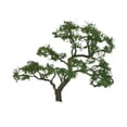 thumbnail image 2 of JTT Scenery Products - Professional Tree, Beech 1.5" (4), 2 of 2