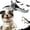 1pc, variant on Rechargeable Flying Bat Dog Toy, Realistic Bat Flight, Authentic Chirping / Feather Sounds, Hanging and Ground Play