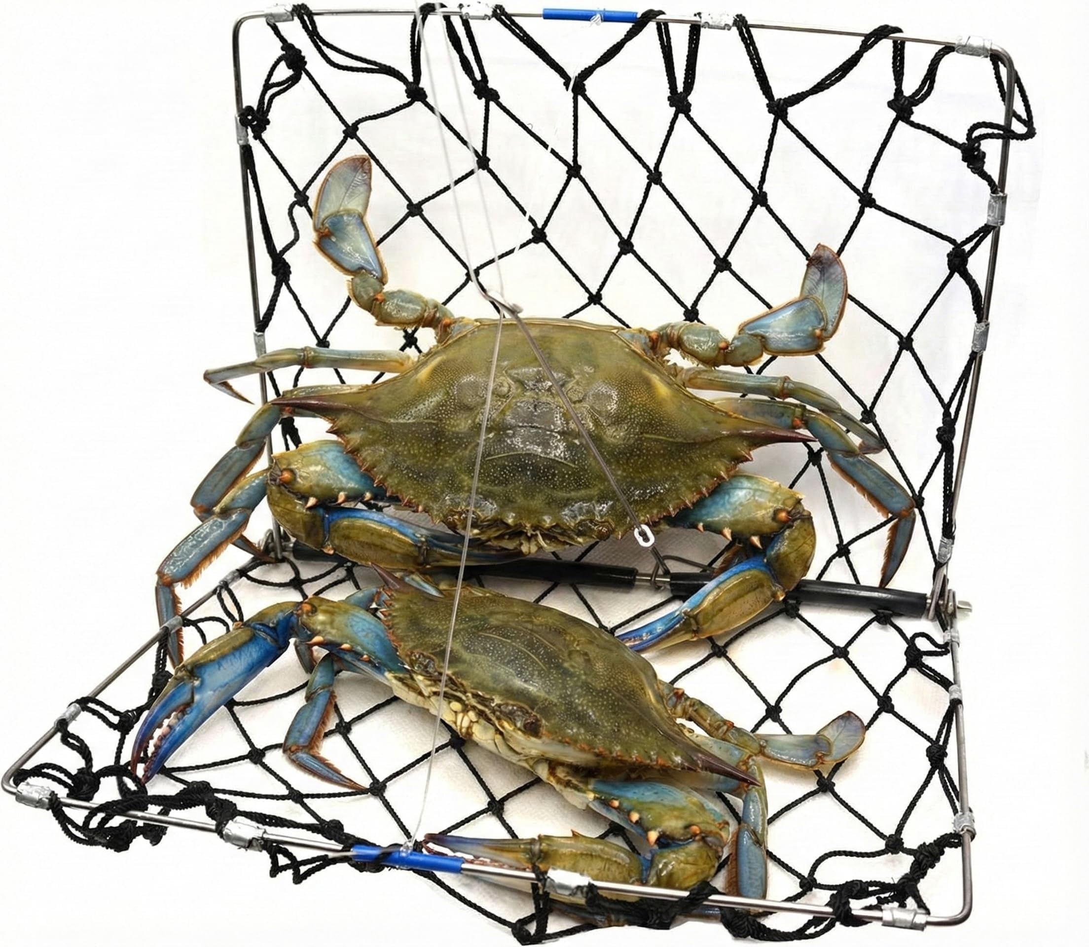 AirFly Foldable Crabjaw Trap with Bait Clip - Castable Crab Hawk Potfor Dungeness and Blue Crabs in FL, OR, WA, TX, Designed in USA (3pcs Crab Trap + Gauge + Glove)
