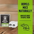 thumbnail image 2 of Sobres repelentes de ratones con canela y menta Grandpa Gus's, 2 of 7