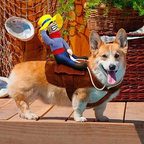 Amar Tool Funny Halloween Riding Horse Cowboy Pet Dog Costumes Puppy Party Costume Clothes