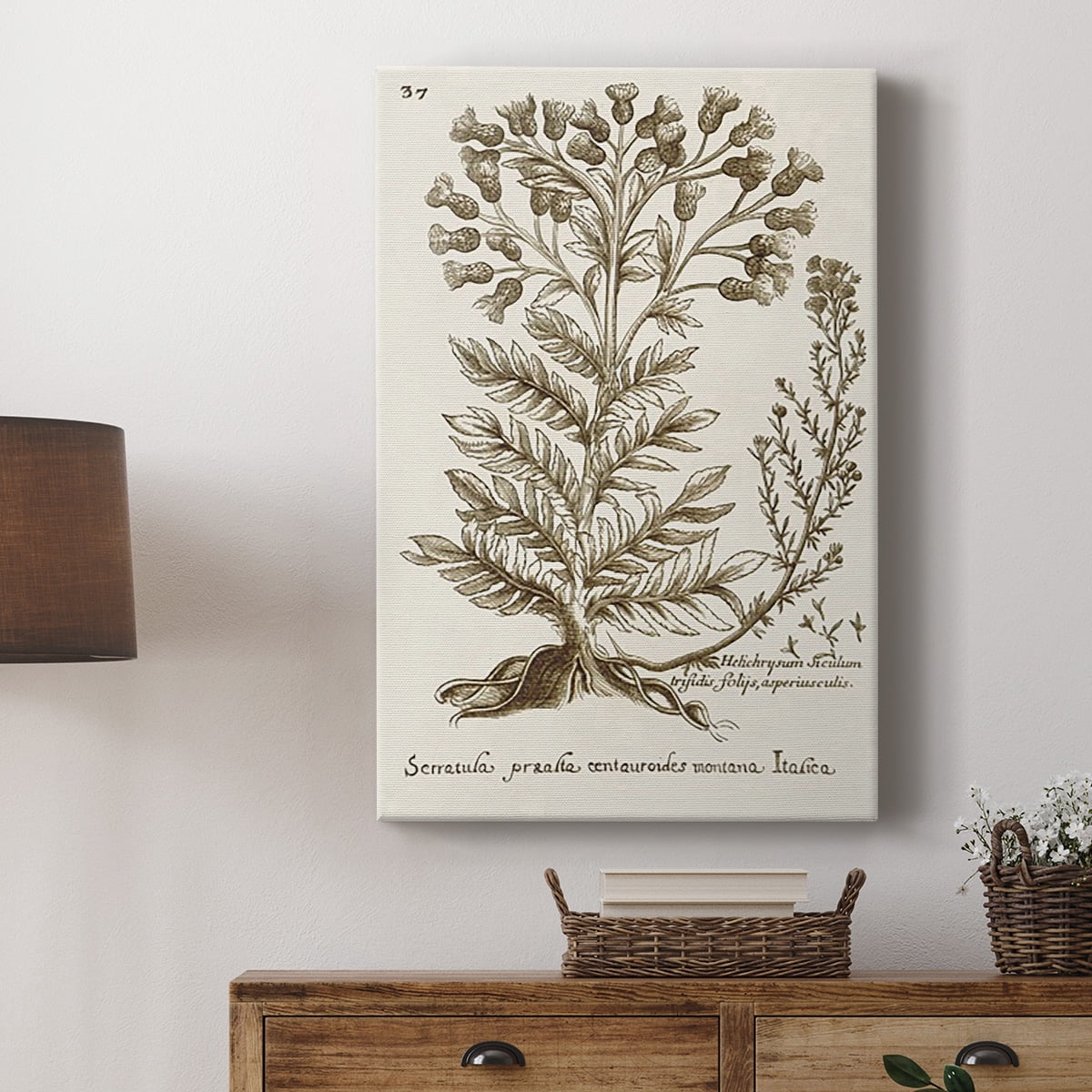 Sepia Botanical Journal I Premium Gallery Wrapped Canvas - Ready to Hang