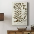 thumbnail image 5 of Sepia Botanical Journal I Premium Gallery Wrapped Canvas - Ready to Hang, 5 of 9