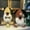 Brown, variant on Dalrosia Dog Gnome Doggie Scandinavian Stuffed Gnomes Plush Puppy Tiered Tray Spring Decorations Farmhouse Home Decor Gift for Dog Lovers