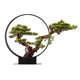 thumbnail image 1 of Árbol de bonsái artificial, decoración de plantas falsas Zen, plantas artificiales en macetas, planta de bonsái de pino for decoración del hogar, exhibición de escritorio, 1 of 5