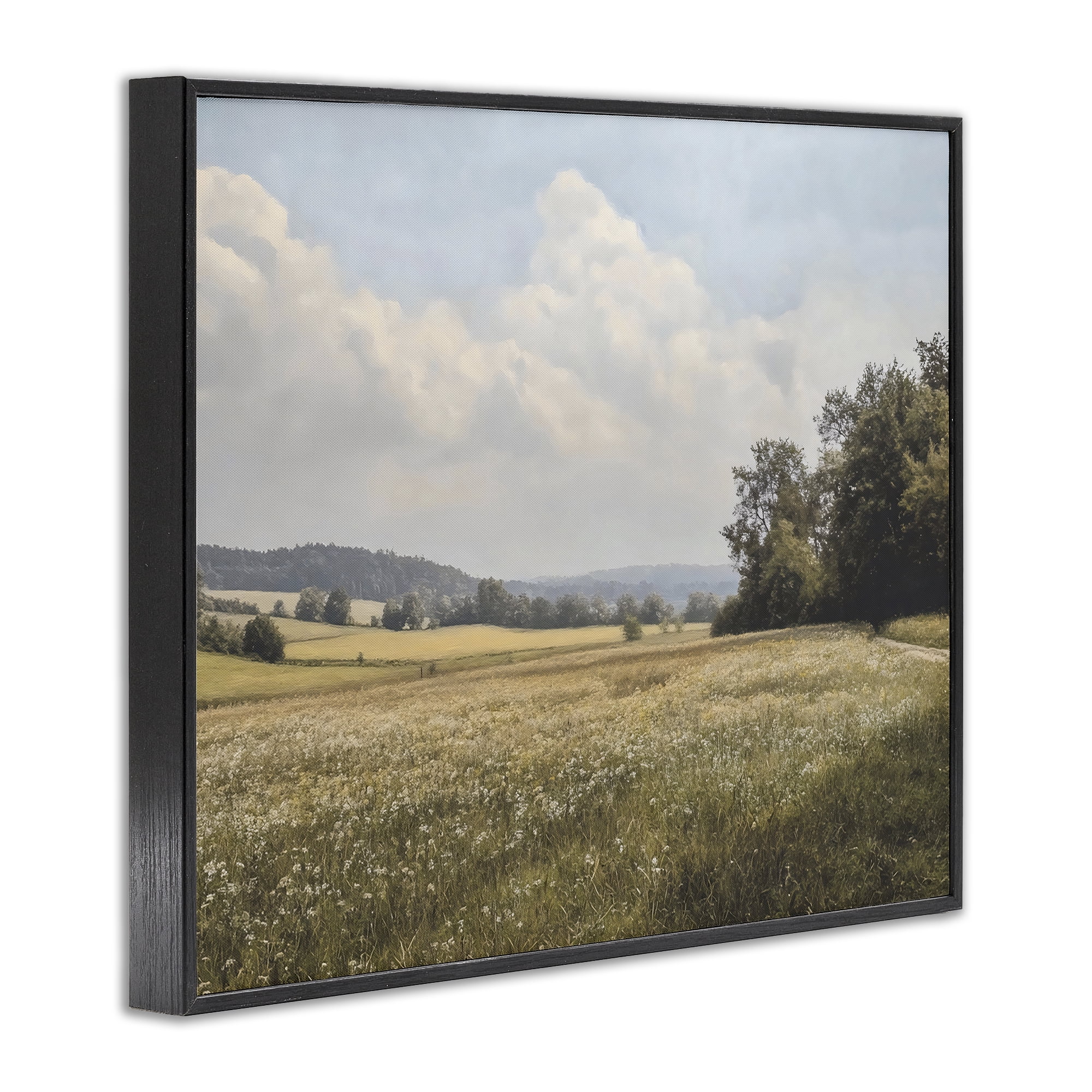 Stupell Industries Summer Landscape Cloudy Meadow Black Framed Giclee Art, design by Franklyn Gregory