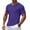 Purple, variant on Men's Sports T-Shirts Short Sleeve Crew Neck Solid Color Lightweight Breathable Quick Dry Tops Fitness Workout (XL, White)