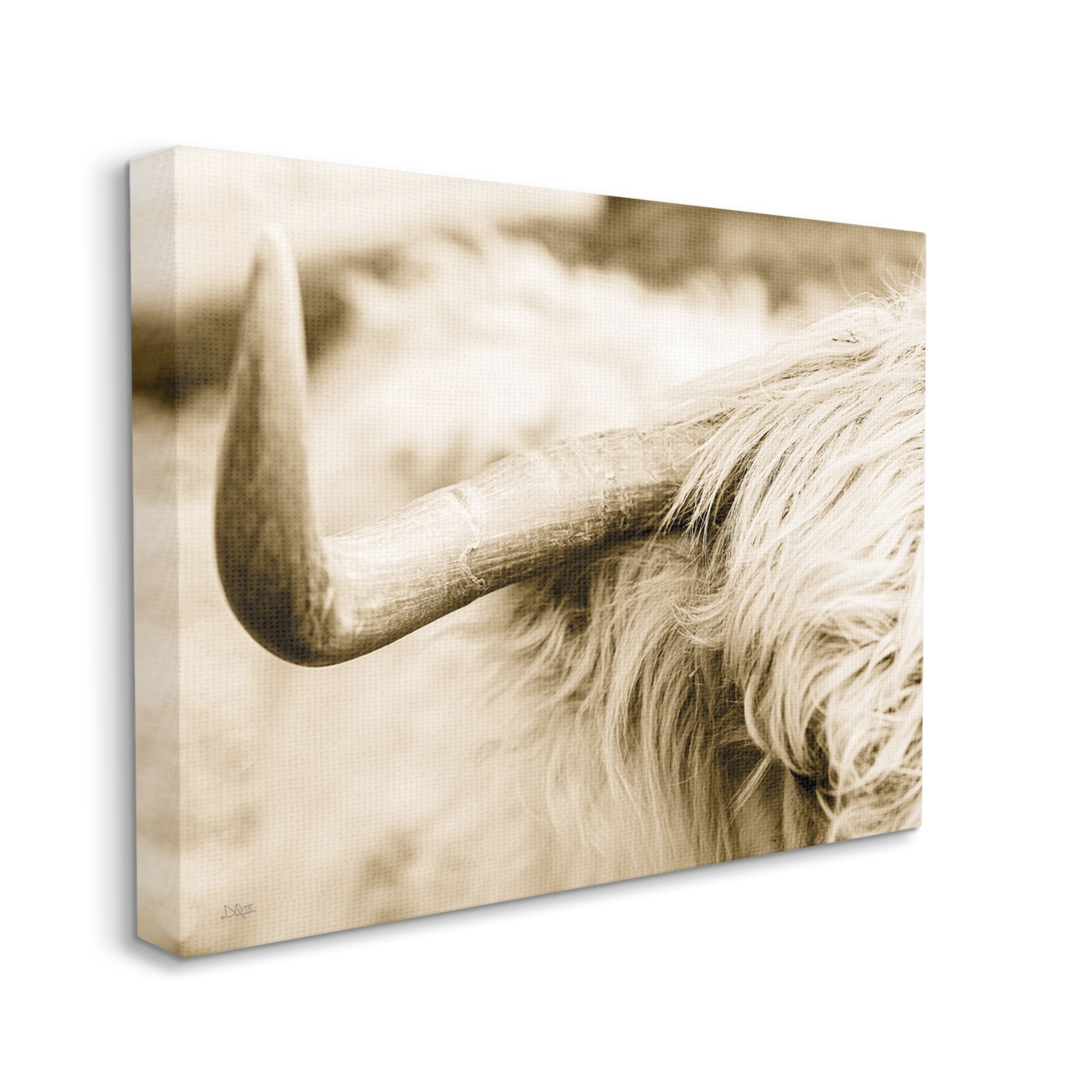 Stupell Industries Beautiful Longhorn Highland Cattle Horn Sepia Photography Photograph Gallery Wrapped Canvas Print Wall Art, Design by Donnie Quillen