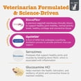thumbnail image 3 of Zesty Paws Vet Strength Hip & Joint Bites Beef & Bacon Flavor Dog Supplement, 60 Count, 3 of 10