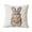 #003-D, variant on TanSiDing Easter Pillow Covers, Printed Cushion Covers, Sofa Throw Pillow Cases, Home Decor, Spring Holiday Decorations, Soft Fabric with Zipper Closure for Living Room Bedroom 17.72in