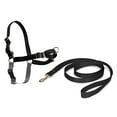 thumbnail image 1 of PetSafe Easy Walk Harness, No Pull Harness for Dogs, Adjustable Harness with Included Matching Lead, 1 of 6