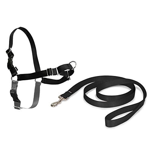 PetSafe Easy Walk Harness, No Pull Harness for Dogs, Adjustable Harness with Included Matching Lead