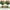 Assorted Persian Grass Flowers, variant on 10 Bundles Artificial Flowers for Decoration,5 Colors UV Resistant Fake Daisies Flowers Outdoor Indoor, Faux Plastic Bouquet Shrubs Plants for Hanging Home Garden Window Wedding Party Decor