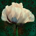 thumbnail image 3 of Lavoie, Tina 20x20 Black Modern Framed Museum Art Print Titled - Poppy In Verdigris And Rust II, 3 of 5