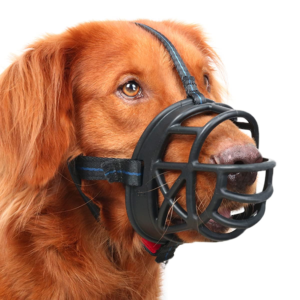 Does a muzzle stop barking outlet