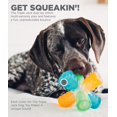 thumbnail image 5 of Outward Hound Triple Jack Multi-Squeak Dog Toy with Squeaky & Grunting Sounds, Multi-color, 5 of 6
