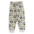thumbnail image 3 of Harry Potter Big Boys Fleece 2 Pack Pants Toddler to Big Kid, 3 of 5