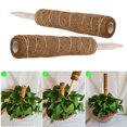 thumbnail image 2 of 3PCS Plant Climbing Vine Coconut Palm Stick, 2 of 8
