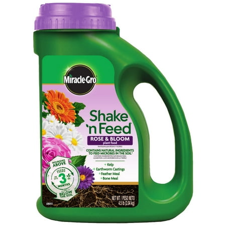 Miracle-Gro Shake 'N Feed Rose & Bloom Plant Food (Best Rose Fertilizer In India)