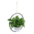 thumbnail image 2 of Better Homes & Gardens Round Iron Black Plant Hanger, 16.1" Diameter x 7.9" Width, Indoor Use, 2 of 7