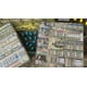 thumbnail image 2 of Juego de mesa Renegade Game Studios Hadrian's Wall para 1 a 6 jugadores, 2 of 4