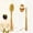 Brown, variant on Dry Brushing Body Brush, Versatile Dry & Shower Brush, Long Handle Back Scrubber, 100% Natural Boar Bristles, Bamboo Detachable Handle 16" for Exfoliating, Circulation for Shower, Bath, Spa