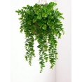 thumbnail image 1 of 1PC Artificial Green Plant Wall Hanging Vine Outdoor Courtyard Garden Decoration Home Dining, Living Room Bedroom Background Wall Stove DIY Material F, 1 of 4