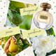 thumbnail image 5 of Set de perfume Tocca Florence para mujer 100 ml + 10 ml Classic Floral, 5 of 8
