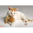 thumbnail image 2 of Rongeur de Hartz Just for Cats, 2 of 5