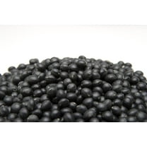 Black Soybean Seeds for Planting - Grown for Sprouts or Full Season (500 Seeds)