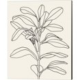 thumbnail image 2 of Great Art Now Olive Branch Contour by Emma Scarvey 2 Piece Canvas Art Set Each 12"W x 15"H, 2 of 3