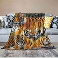 thumbnail image 2 of ARISTURING Tiger Blanket Wild Tiger Throw Blanket Ultra Soft Cozy Tiger Stuff Decor Gift Fuzzy Plush Bedding Blankets for Kids Teens Adults Girls Boys Women Men, 2 of 6