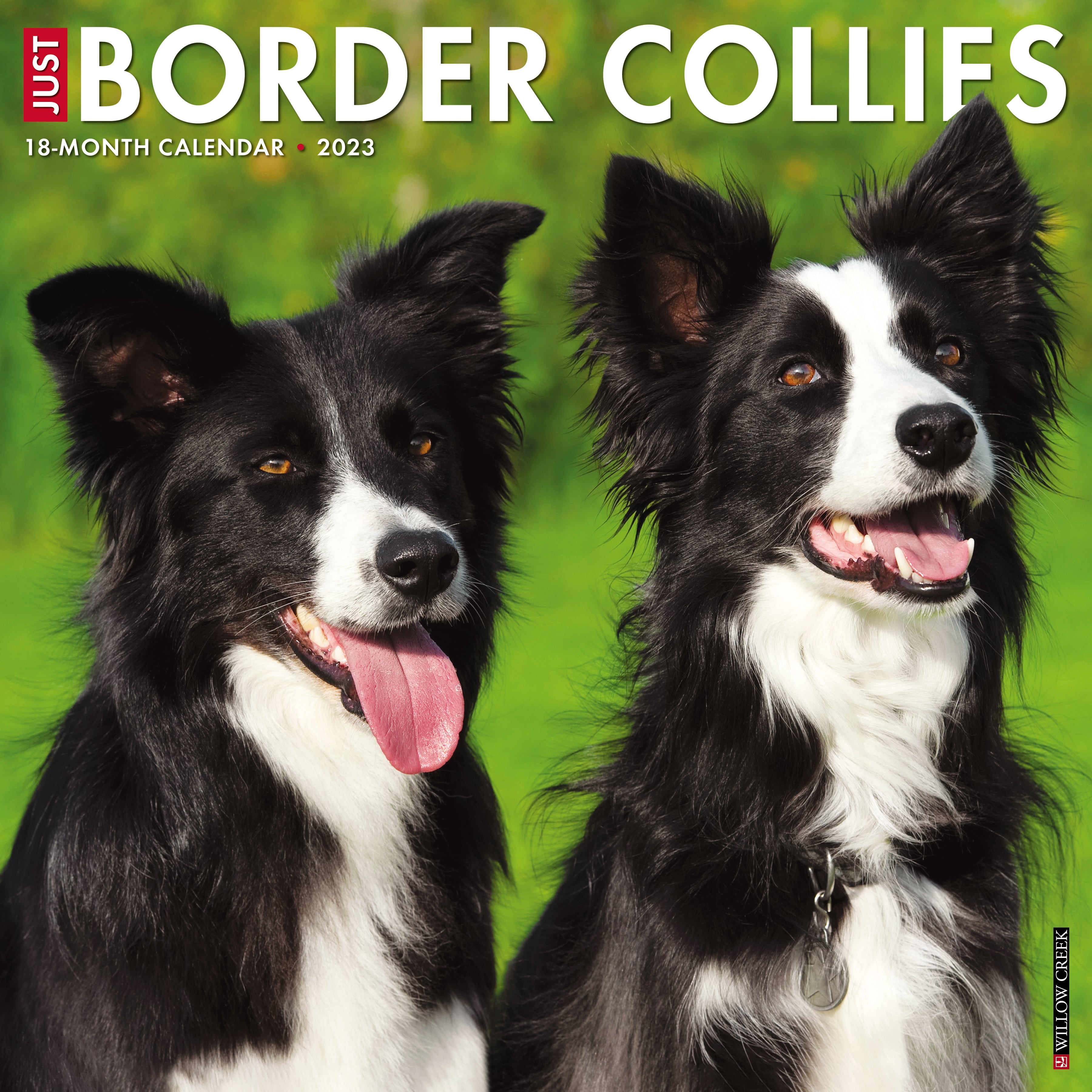 Just Border Collies 2023 Wall Calendar