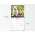 thumbnail image 2 of 2023 Mini Wall Calendar - Buddies- 7"x7" Puppies and Kittens by Dayspring, 2 of 4