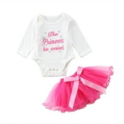 Baby Girl First 1st Birthday Outfit Party Dress Tutu Skirts+Romper Babgyrows Set