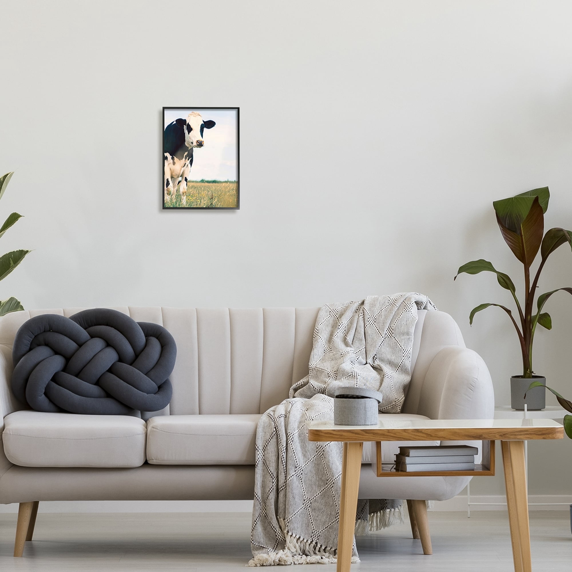Stupell Industries Country Farm Cow Photography Animals & Insects Photography Black Framed Art Print Wall Art