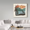 thumbnail image 3 of Trademark Fine Art 'Vintage Lake IV' Canvas Art by Janelle Penner, 3 of 3