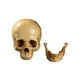 thumbnail image 4 of Halloween Skeletons Plastic Realistic Fake Simulation Human Skull HeadBone Model Halloween Prop Realistic Mini Skeleton Spooky Halloween Decoration, 4 of 4