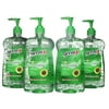 (Pack of 4) Germ-X Moisturizing Hand Sanitizer, Aloe, 30 Oz