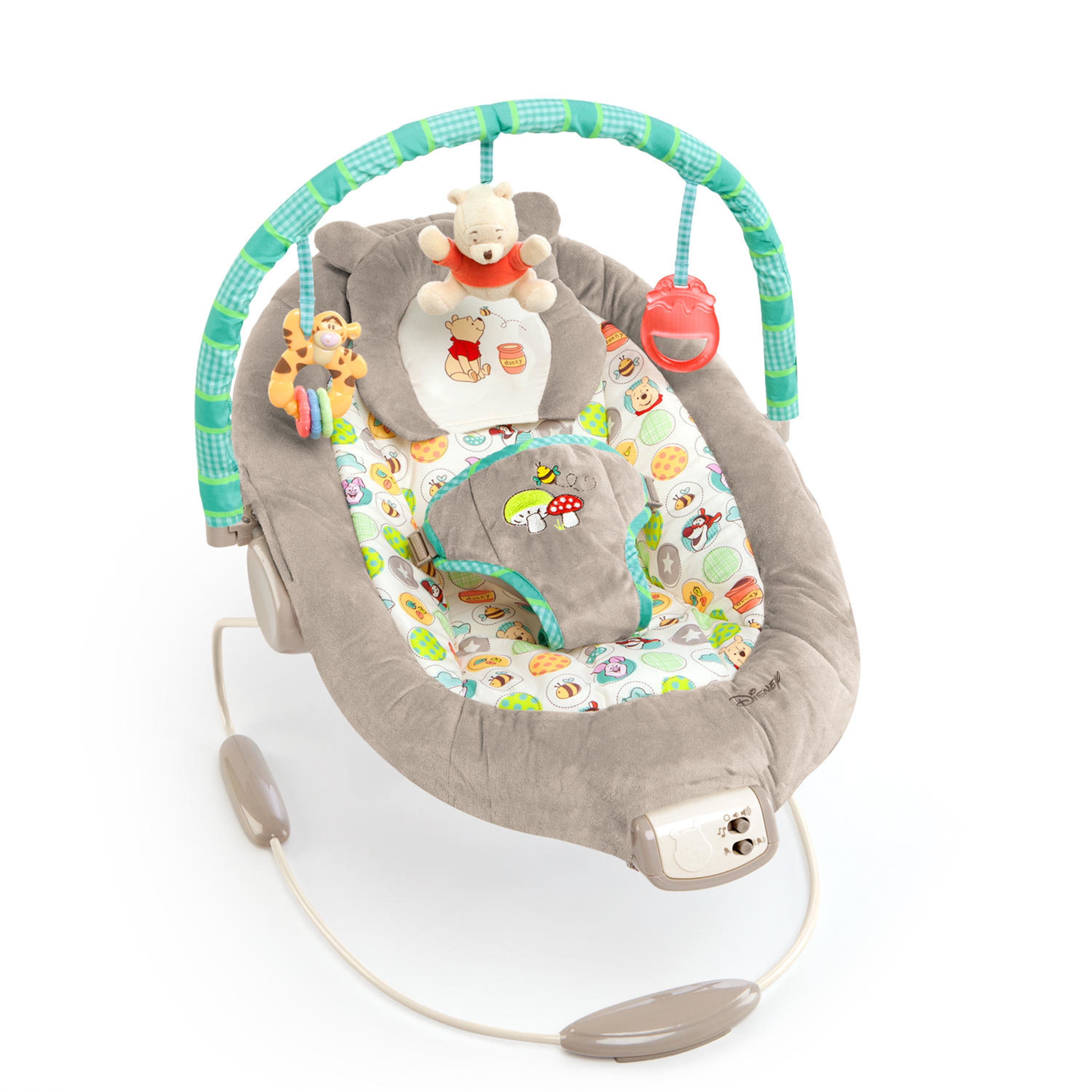 disney winnie the pooh bouncer