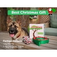 thumbnail image 2 of Juguete para perros LOOBANI Bungee Tug que cuelga de un árbol verde, 2 of 6