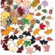 thumbnail image 1 of 100 piezas de 21 estilos de dijes de esmalte de hoja de arce de Acción de Gracias, colgantes de aleación de metal dorado con temática navideña, hojas de otoño y cosecha., 1 of 6