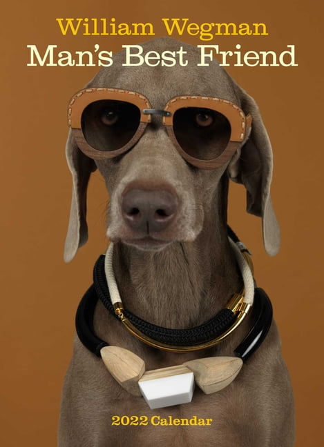 William Wegman Man's Best Friend 2022 Wall Calendar (Calendar) - Walmart.com