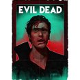thumbnail image 3 of The Evil Dead Wall Poster Classic Horror Movie Canvas Painting Print and Picture for Modern Family Living Room Bar Home Decor, 3 of 5